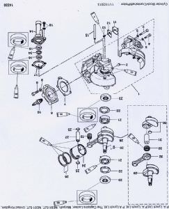 Head Gasket 4hp & 5hp 27-812939015 (click for enlarged image)